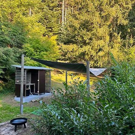 Malý Sejfík * Mladé Buky