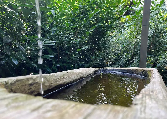 Maly Sejfik *